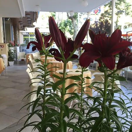 Angela Hotel