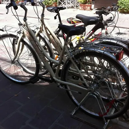 Angela Hotel Misano Adriatico